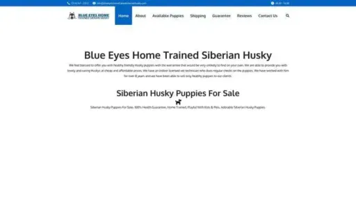 Screenshot of