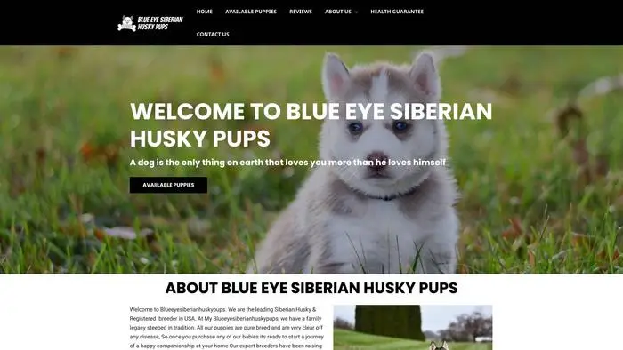 Screenshot of