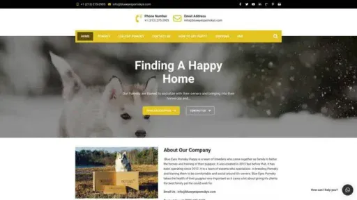 Screenshot of