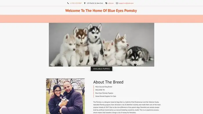 Screenshot of