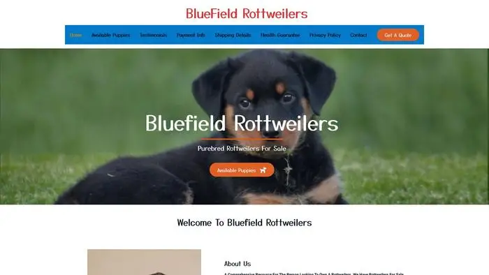 Screenshot of