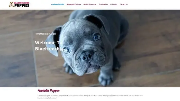 Screenshot of
