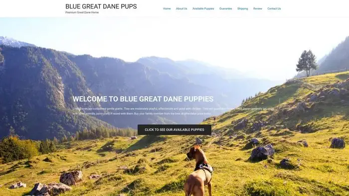 Screenshot of
