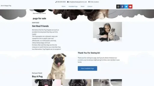 Screenshot of