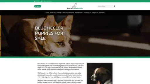 Screenshot of