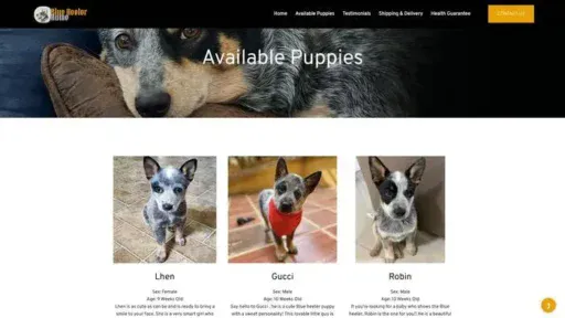 Screenshot of