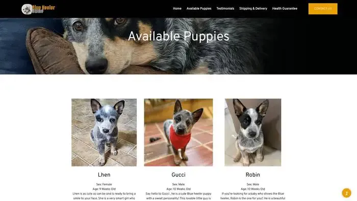 Screenshot of
