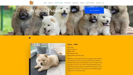 Screenshot of