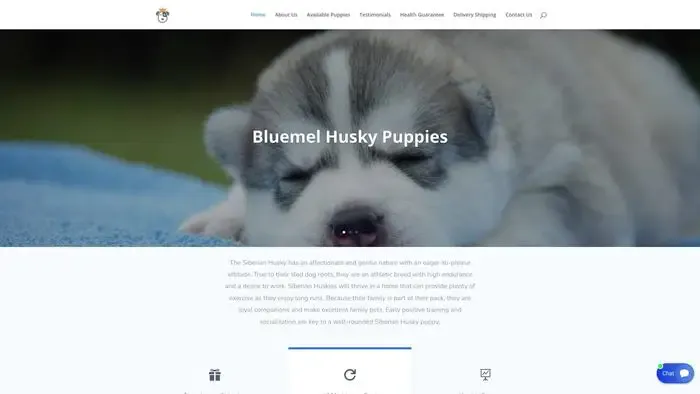 Screenshot of