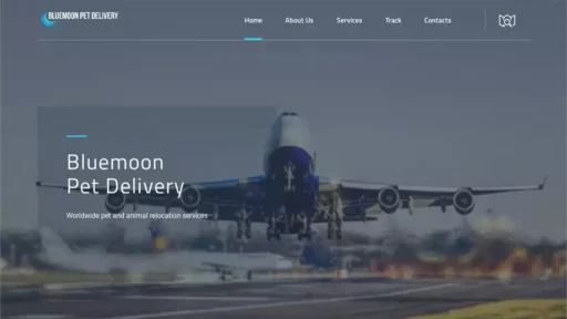 Screenshot of|