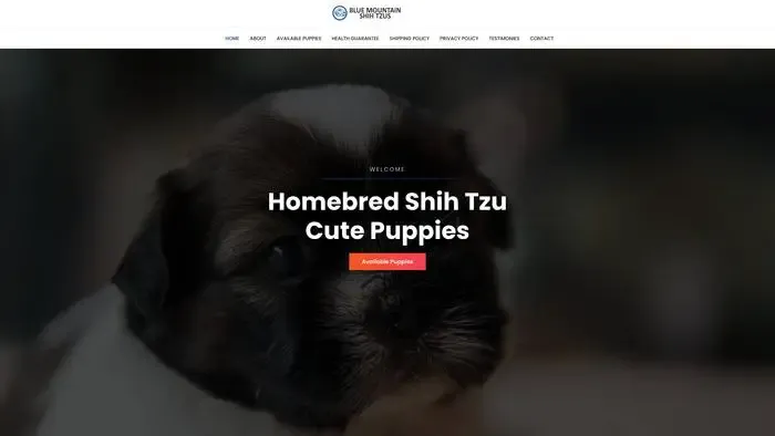 Screenshot of
