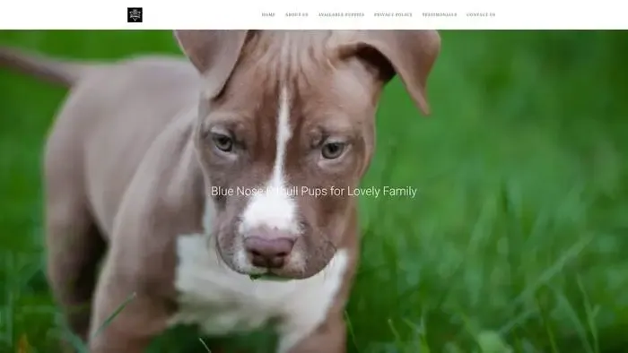 Screenshot of