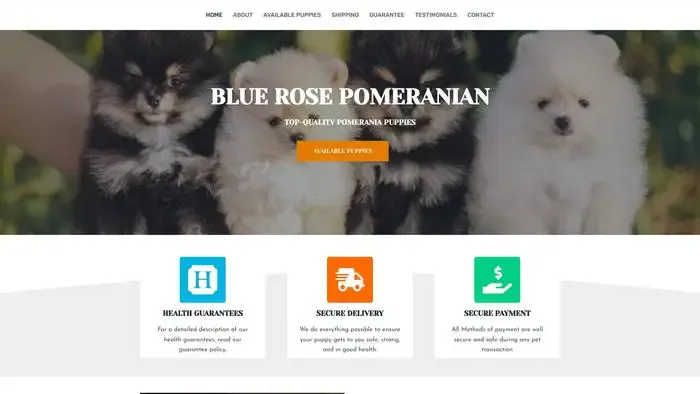 Screenshot of