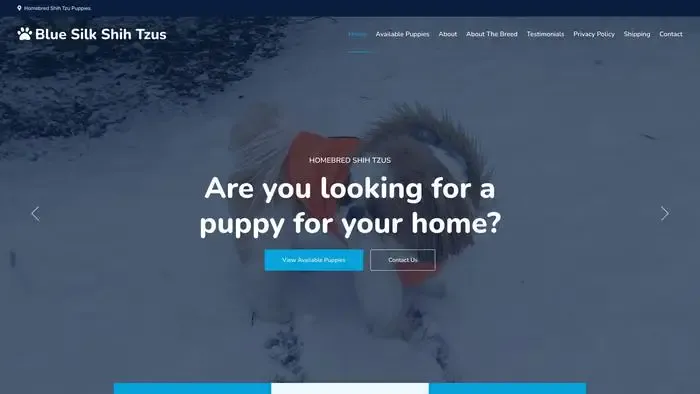 Screenshot of