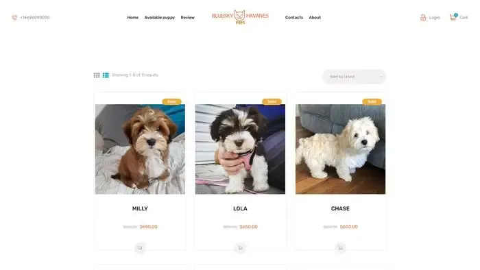 Screenshot of