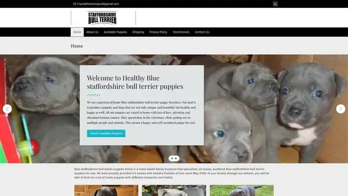 Screenshot of
