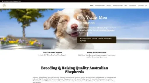 Screenshot of