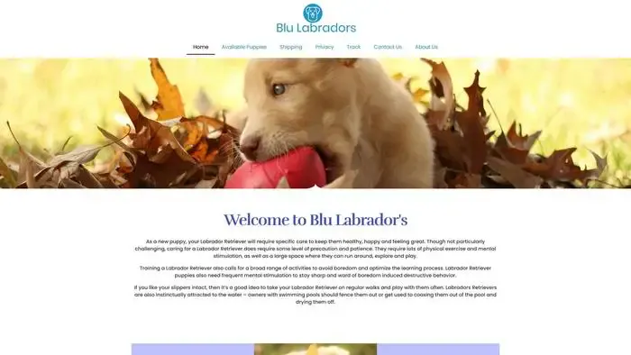 Screenshot of