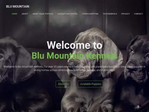 Screenshot of