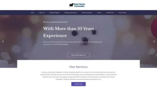 Screenshot of||