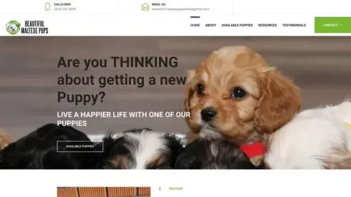 Screenshot of