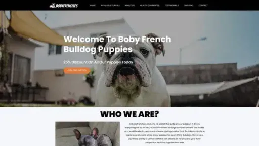 Screenshot of