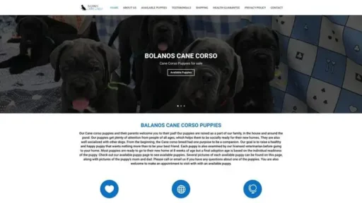 Screenshot of
