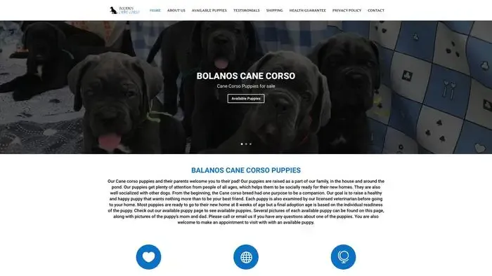 Screenshot of