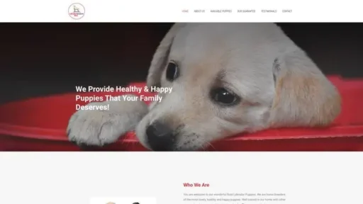 Screenshot of