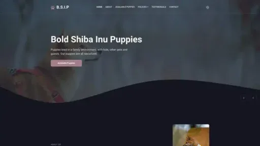 Screenshot of