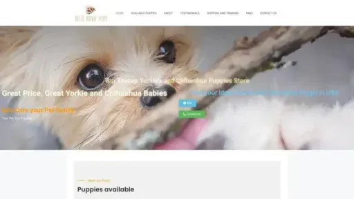 Screenshot of