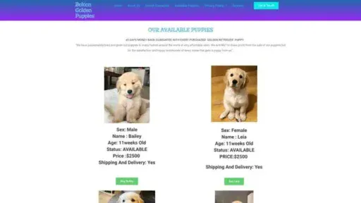 Screenshot of