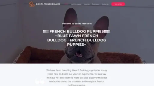 Screenshot of