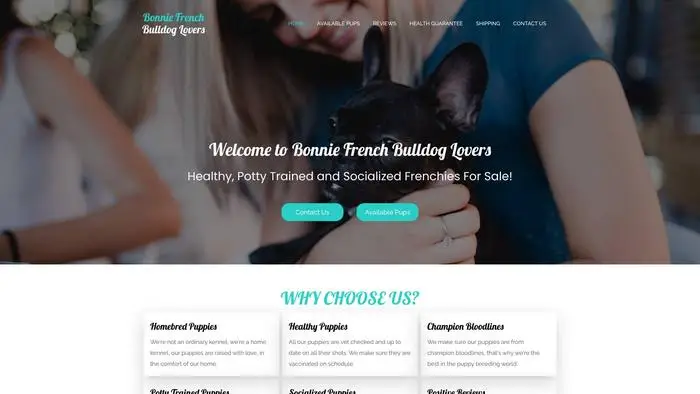 Screenshot of