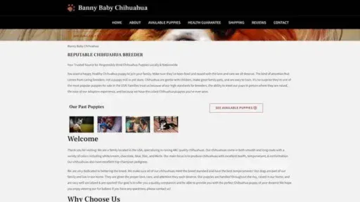 Screenshot of