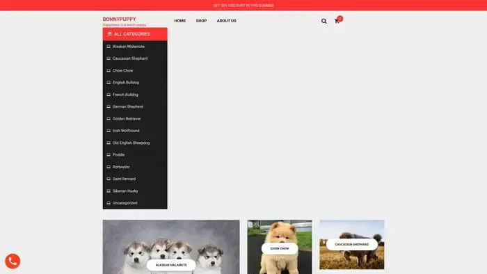 Screenshot of