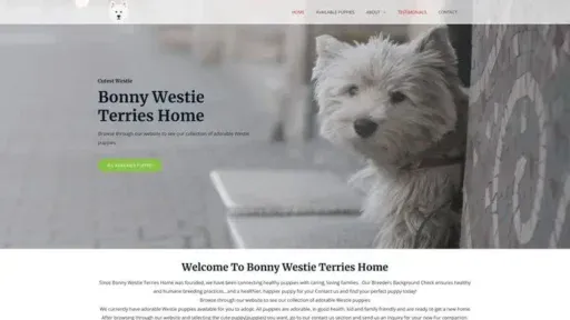 Screenshot of