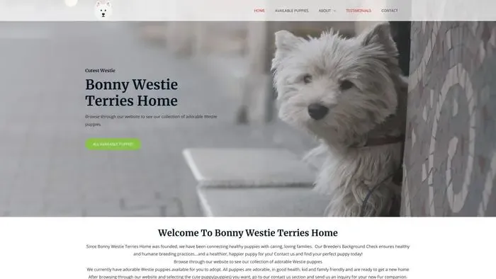 Screenshot of
