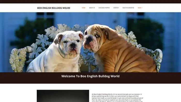 Screenshot of