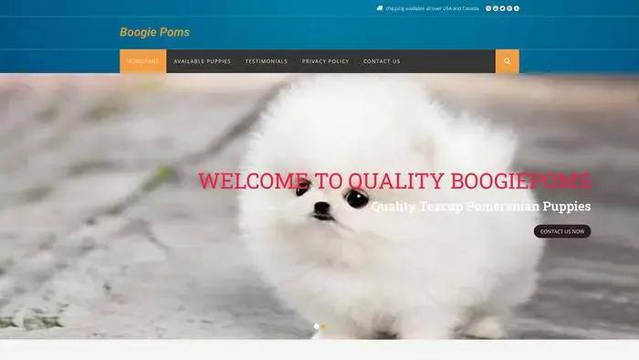 Screenshot of