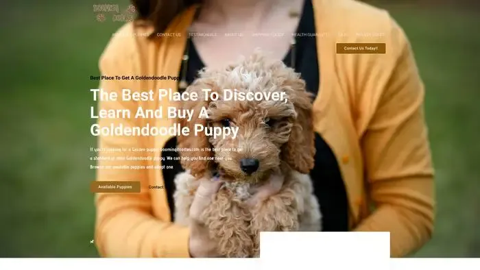 Screenshot of