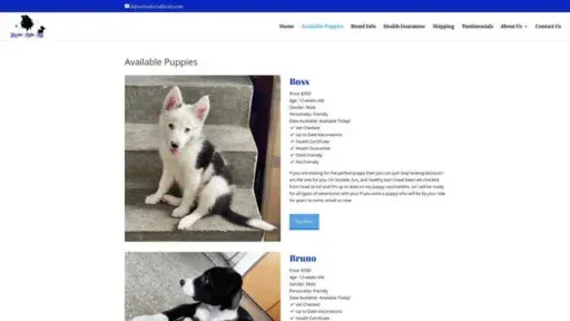 Screenshot of