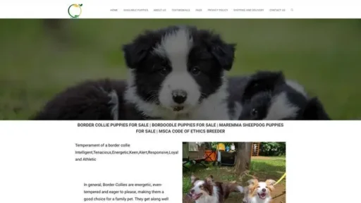 Screenshot of