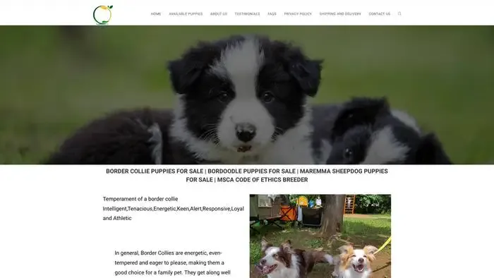 Screenshot of
