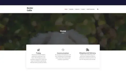 Screenshot of