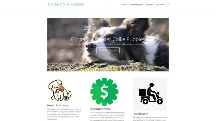 Screenshot of