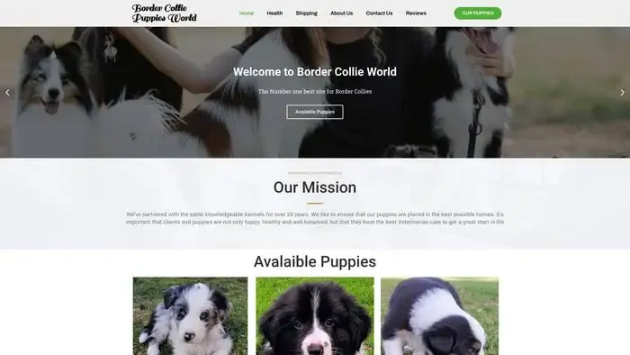 Screenshot of