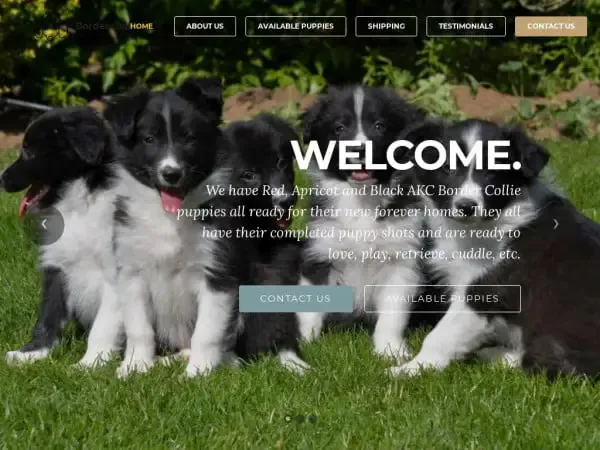 Screenshot of
