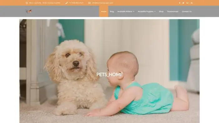 Screenshot of