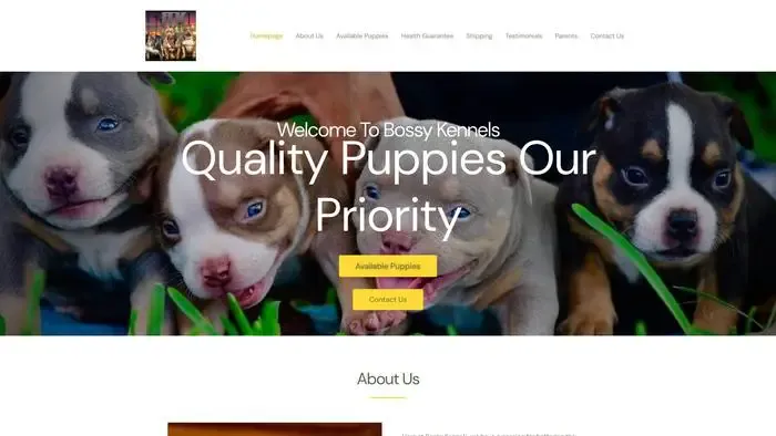 Screenshot of